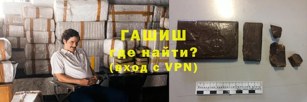 apvp Каменка