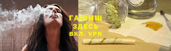 apvp Каменка