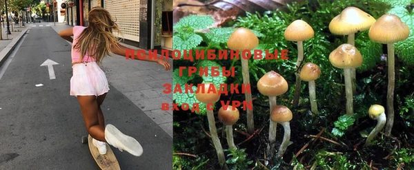 apvp Каменка