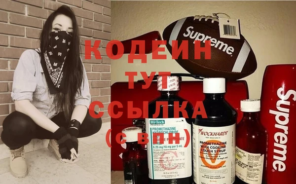 apvp Каменка