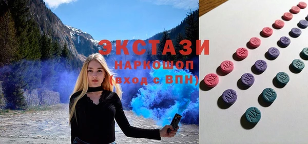 apvp Каменка