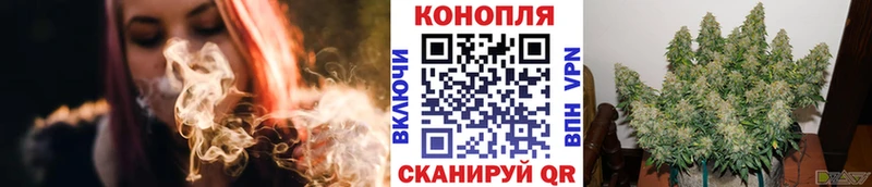 Конопля OG Kush  Кораблино 